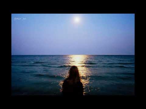 (playlist) Vây giữ, Dễ thay đổi, Không biết phải làm sao, Kịch hay, Khiêm nhường | Vương Tĩnh Văn