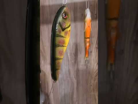 6" wounded perch.   #fishing #custom #lures #fish #perch #musky #outdoors