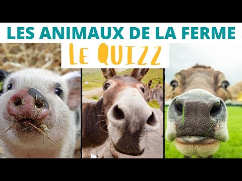 Les animaux de la ferme : le QUIZZ