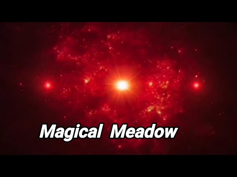 Magical Meadow: Relaxing Music & Nature Sounds for Serenity
