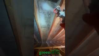 🦠 Don't let mold take over your home!