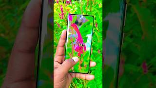 Realme 11 pro plus camera quality test 🤯🔥#shorts #viral