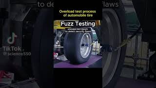 Fuzz Testing