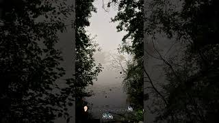 #foggy #fog #misty #autumn #autumnvibes #moodyvibes #sadvibes #aesthetic #naturephotography #naturel
