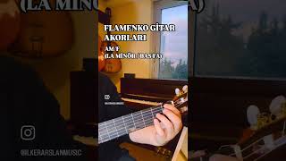 FLAMENKO GİTAR AKORLARI AM/F