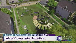 Lots of Compassion Initiative