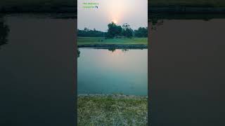 #savethenature 🌳🌳🌱🍀🌿🍀🌱🌿🌳#savethenature #gogreen #protectthenature #nature #savethenature #gogreen🌳🌳🌳