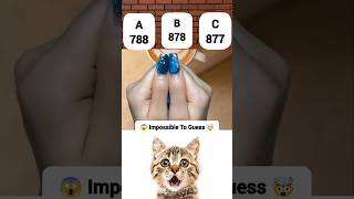 Can you guess the number 🤯🤯#viral #cat #voralshort #shortsfeed