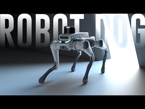 This Robot Dog Follows You Anywhere—Even on a Bike Ride 🚴‍♂️🐕