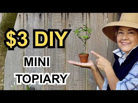 DIY Mini Topiary Gift Idea - Under $3!