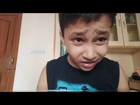 about wagha border (sst) grade 4 / Daiwik Gupta