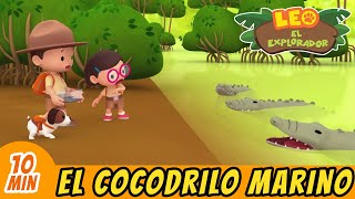 El Cocodrilo Marino | ¡Ayuda Al Cocodrilo Bebé A Llegar A Casa! | Episodio Completo | Leo Explorador