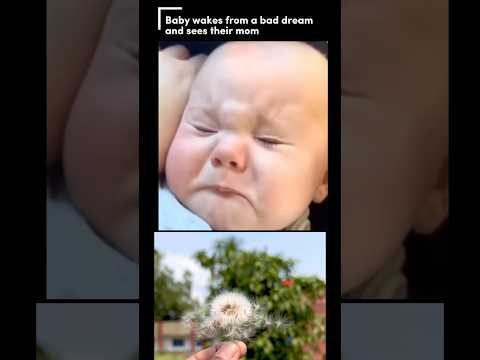 #baby #dream #shorts #youtubeshorts