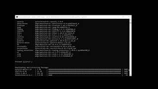 PyTorch Installation on Windows with Anaconda distribution