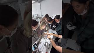 Nail Tech Skills Upgrade at Next Level Nails Academy