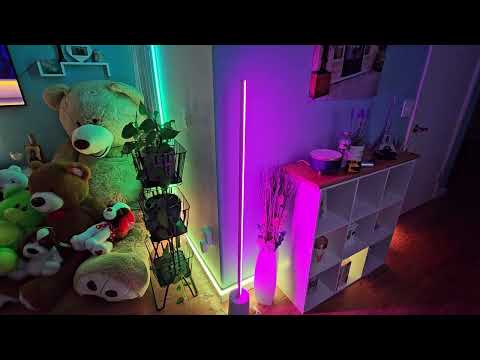 Govee Lyra Floor Lamp Quick Unboxing & Setup