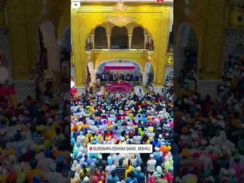 Gurudwara Singh Shaheedan Sohana sahib WhatsApp Status #gurudwara  #trending  #baba hanumanji
