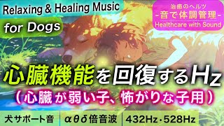 【犬が落ち着く音楽】心臓が弱い子/心臓病/臆病な子/雷などで震える子の浸透ヒーリングミュージック┃アルファ波シータ波デルタ波の倍音波┃432Hz 528Hz┃犬のリラックス音楽 犬が寝る音楽