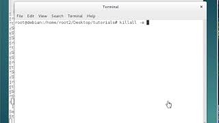 killall - End Multiple Processes [Debian Linux]