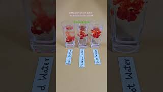 Diffusion in hot water is much faster ❤️ Simple Experiment #simpleexperiments #shorts #ytshorts