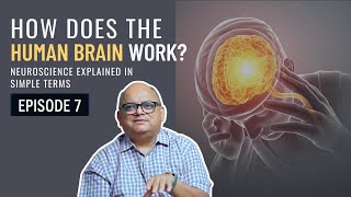 [Live] Epi 7 | How Does the Human Brain Work? 🧠 | Neuroscience Explained in Simple Terms