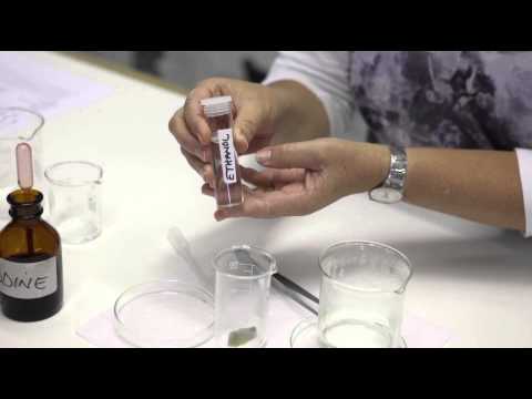 Photosythesis - testing for the presence of starch (Afrikaans)