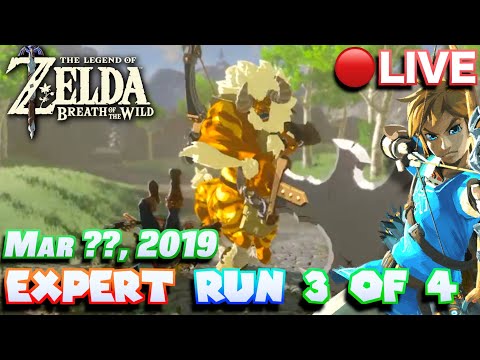 🔴Special Streams | Recovered BOTW Expert Master Mode Run Stream (3/4) [March ??, 2019]