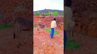 #naturelovers #naturecomedy #comedy #funny