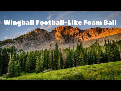 Wingball Football Like Foam Ball