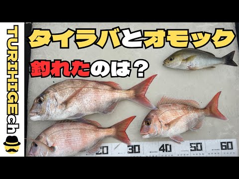 少しだけ分かった事があります