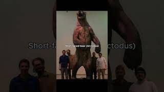 The Extinct Monsters That Once Lived Where You Are 😳