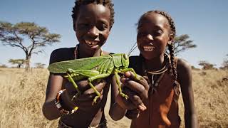 Hadzabe Hunt Fruit Bats in Baobab Tree | Nighttime Bush Feast #africanpeople