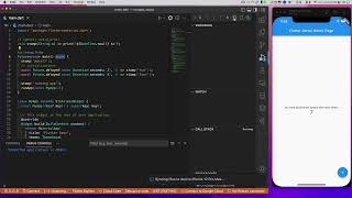 Using RunApp Twice in Flutter