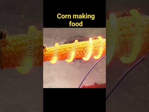 corn experiment #experiment #science