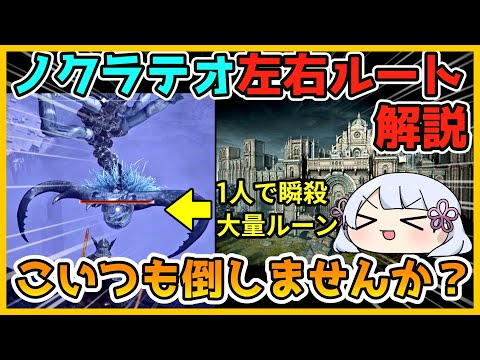 【ELDEN RING NIGHTREIGN 】レジェンド大量＆稼ぎ最強の地変「ノクラテオ」について