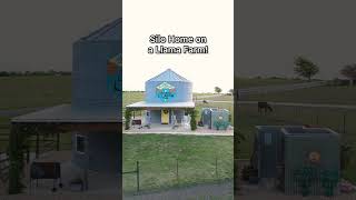 Silo Tiny Home Farm Stay Airbnb on a Working Llama Farm!