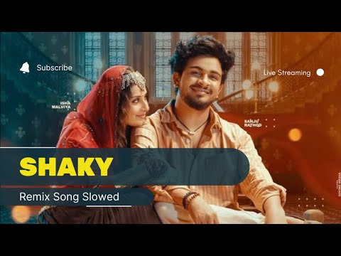 Shaky Shaky Ek Number | Remix | Slowed Reverb | Music Vibes