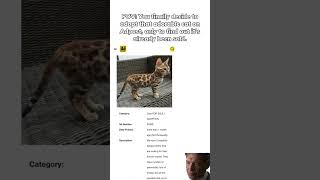 When You're Ready To Make The Purrfect Addition To Your Family, But The Universe Has Other Plans. 😿