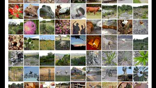 How To Make Photo Gallery in HTML
