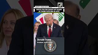 "I think Pakistan, India..." Trump puts Shehbaz Sharif on spot at Egypt Summit | Watch his reaction