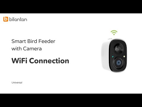 Bilantan smart bird feeder camera with AI identification WIFI connection