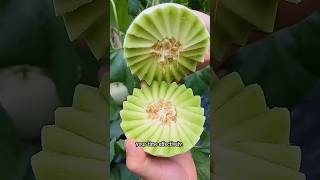 Top 5 Tips to Become a Topper in Studies #shorts #shortsfeed