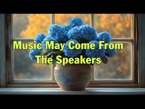 Music may come from the speakers, but love comes from the heart.