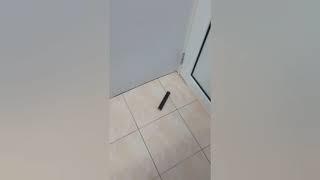 Getting Flashbanged Be Like :