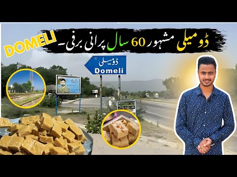 Domeli Famous Barfi 😇 | Share And Subscribe 🥰