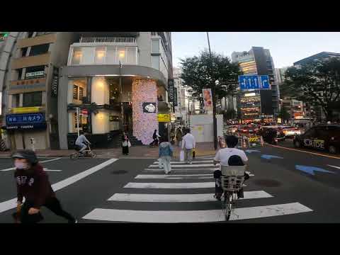 Evening Ride Through Tokyo: Cycling in Ginza & Toyosu at Sunset 🚴‍♂️🌆 - Part 6