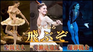 [Mental Breakdown] Isn't ballet just too amazing?! My dopamine is unstoppable! Help me!