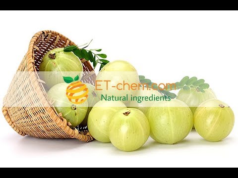 Amla fruit extracts  benefits,functions, how to produce Phyllanthus emblica,Tanins ,Vitamin C 2018