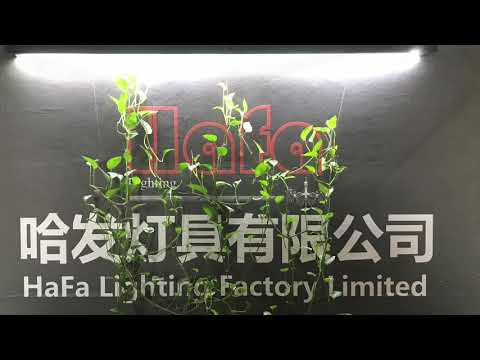 Modern LED Chandelier Fission Branches For bedroom living room lighting Fixtures