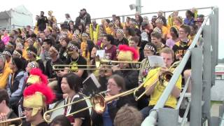 Black and Gold Day 2013